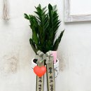 토리덴탈 이미지