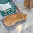 소솜 | 경주 보문 한식 맛집추천 | '소솜당' 석갈비 김치찜 후기 한옥분위기 밥집