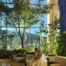 자랑스러운 양양인상 시상식 | 수완지구영어학원 페이스오브아시아 한국대표 조하윤의 성장기 후기