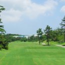 테디벨리 이미지