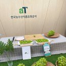 스튜디오머스캣