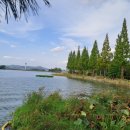 신정호국민관광지 이미지