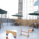 도그스쿨 이미지