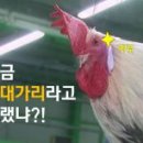 명일카센타 이미지