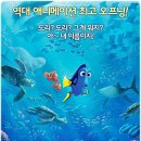 도리
