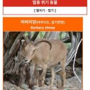27개월, 12개월 딸들과 에버랜드 첫 방문기(첫돌기념 가족 나들이/ 산리오 캐릭터즈 콜라보 튤립축제)