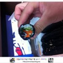 꼬마야 소풍가자