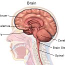 대세당한의원 이미지