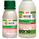 배추 애벌레 잡기! 배춧잎 밑에 파밤나방 담배나방애벌레 거세미 배추흰나비 유충 달팽이 해충 종류와 찾는 방법 이미지