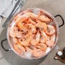 건강하새우 이미지