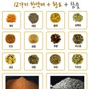 (주)가보건강침대