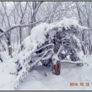 올겨울 덕유산에 오겠다는 님들이 있어서~ 이미지