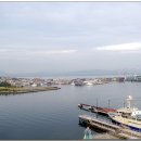 마수목장 이미지