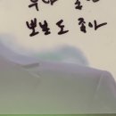 의주네 미용실 | 유갓프로블롬? 예스 ...