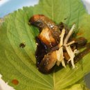 독도수산 이미지