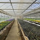 월오보건진료소 이미지