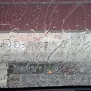 덕하세차장 이미지