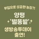 생방송투데이 키워드 다큐 성공인 ‘별똥밭’ 이야기 (감자칩 고구마칩 주문방법)