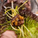 엄가뒷고기한판 이미지