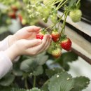 청도약국 이미지