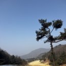 청정종합관리(주) | [라운딩 후기] 가성비 좋은 골프장 센추리21CC (feat.여주삼겹살맛집)