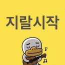 기어코 여름