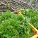 상희농장 이미지