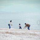 도시광고 - 서구 | 도시광고