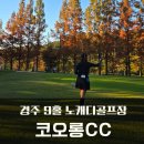 오케이온 이글 연습장 | 경주 코오롱CC 노캐디 9홀골프장 3인플레이 후기(코오롱CC 예약, 이용요금)