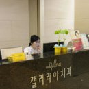 더갤러리아치과의원 이미지