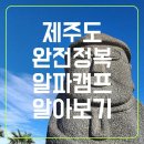 올레캠프알파캠프