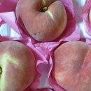 경봉마트 이미지