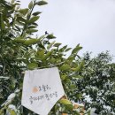 하얀나라깨끗한세상 이미지