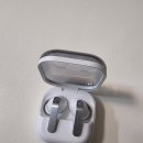 SM전자 | 삼성전자 갤럭시 버즈4 프로, SM-R640N 내돈내산 후기