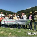 위도초교 이미지