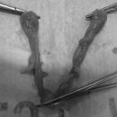 워너비 동물병원 이미지