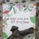 제주도유 이미지