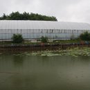 계룡 낚시터 이미지