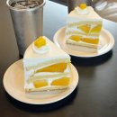 세븐일레븐대구뉴봉산문화점 | 여름 일상 조각 ⋆｡˚ ✈︎ ˚｡⋆｡˚☽˚｡⋆