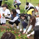 가드닝과 정원만들기 이미지