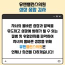 플랜유앤