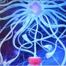 명쾌한한의원 이미지