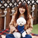 견생스타일 이미지