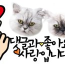 퍼밀리 이미지