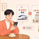 코레일부산어린이집 | 2026년 6월 여행가는 달 숙박세일페스타 신청방법(선착순 발급 사전 준비 가이드)