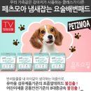 요술강아지 이미지