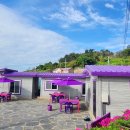 반월도퍼플펜션 이미지