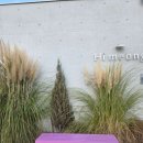 하이멍 애견카페 이미지