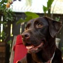 젤리그루밍 이미지