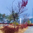 함양산삼골휴게소(대구방향) 이미지